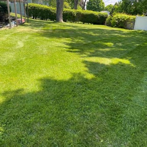 landscape maintenance by Oscar Lawncare Services LLC reviewed on April 27, 2024