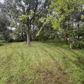 grass maintenance by Mac's Property Detail reviewed on March 20, 2024