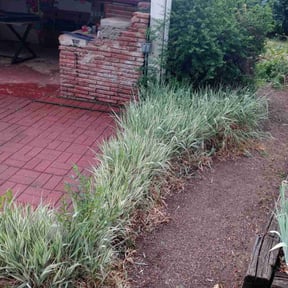 lawn service by Davis Mowing LLC reviewed on October 2, 2024