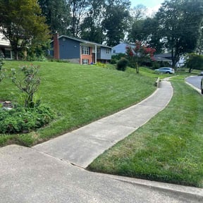 yard work by Escobar lawn care services reviewed on August 15, 2025