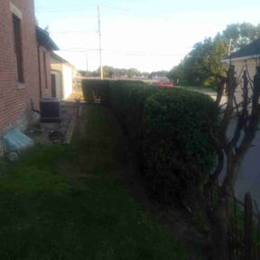 Bush Trimming by Life Source Lawn Care and Property Services reviewed on October 18, 2025