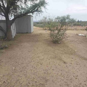 Leaf Removal by Pro Cut’s Landscaping reviewed on June 18, 2026