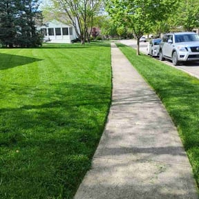 landscaping services by Daniel's lawn care service LLC reviewed on August 20, 2025