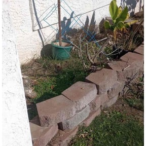 Bush Trimming by FRL Landscaping reviewed on August 19, 2025