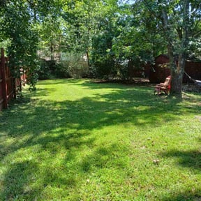 landscaping services by Maximum Landscaping & Lawn care reviewed on August 15, 2025