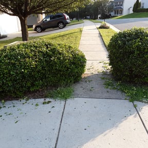 Bush Trimming by Banda Landscaping reviewed on August 16, 2025
