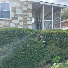 Bush Trimming by Navarro Lawn Care reviewed on November 18, 2025