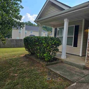 Bush Trimming by Torres Lawn Care reviewed on October 24, 2025