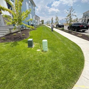 yard maintenance by Torres Lawn Care reviewed on May 23, 2024