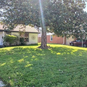 residential landscaping by Toms Lawn Care reviewed on August 19, 2025