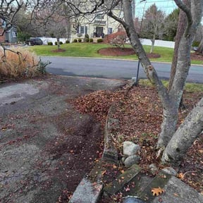 Leaf Removal by Yardwork Plus / We Mow Grass, inc reviewed on January 7, 2026