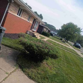 Bush Trimming by Done Right Handyman Services LLC. reviewed on August 26, 2026