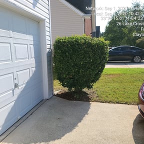 Bush Trimming by Roth Mowing reviewed on June 1, 2024