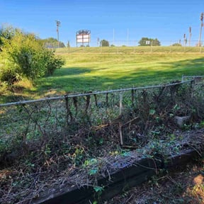 Bush Trimming by BENNETT LINKS SOLUTIONS reviewed on August 13, 2025