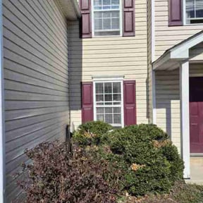 Bush Trimming by Johan LANDSCAPING reviewed on March 6, 2026