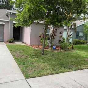 Bush Trimming by JMAAX DaBigLukes enterprise reviewed on June 29, 2023