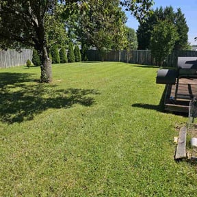 landscaping by LawnPro & Landscaping reviewed on August 20, 2025