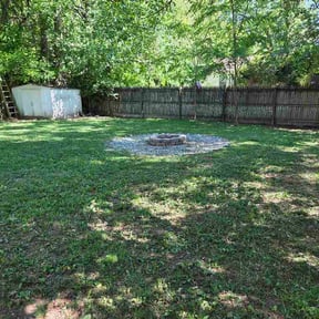 Leaf Removal by Shazia Mu miniah services llc reviewed on June 16, 2026