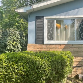 Bush Trimming by To your door lawn care reviewed on August 16, 2025