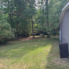 Leaf Removal by Lincoln Property Preservations LLC reviewed on July 16, 2026