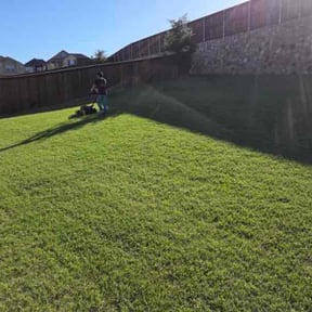 Lawn Treatment by  reviewed on November 6, 2025