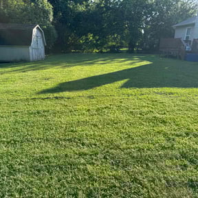 yard care by Mr. Urban Express Enterprises reviewed on August 20, 2025
