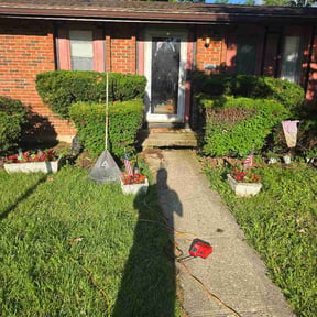 Bush Trimming by Mora Brothers Tree and Landscaping reviewed on June 23, 2026