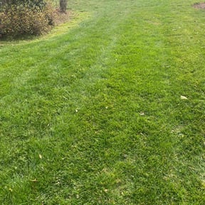 yard work by B&amp;t lawn service reviewed on October 11, 2022