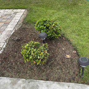 Bush Trimming by Al&#039;s Lawn care service/maintenance reviewed on November 23, 2025