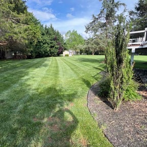 landscaping services by FRAMPTON'S LAWN SERVICE reviewed on December 2, 2025