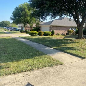 grass maintenance by Elegant Lawn &amp; Landscaping LLC reviewed on August 17, 2025