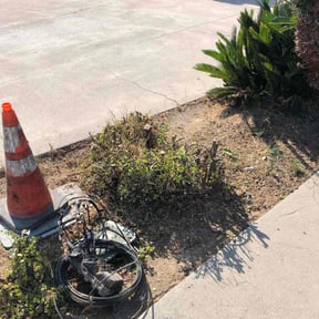 Bush Trimming by Lawn Therapy LLC reviewed on October 24, 2025