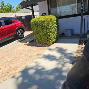 Bush Trimming by Matus lawncare reviewed on August 14, 2025
