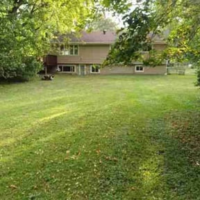 Leaf Removal by Davis Lawn Care reviewed on September 16, 2025