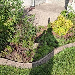 Flower Bed Weeding by Qc Lawn  Ranger  LLC reviewed on July 8, 2026