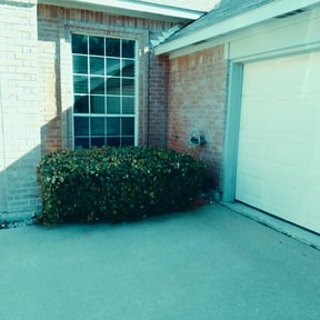 Bush Trimming by East Raleigh Landscaping reviewed on August 18, 2025