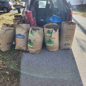 Leaf Removal by Vega&#039;s lawn service reviewed on September 17, 2025