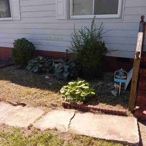 Flower Bed Weeding by Lawns and lands reviewed on May 30, 2026