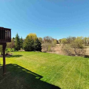yard work by Abams lawn care reviewed on August 15, 2025