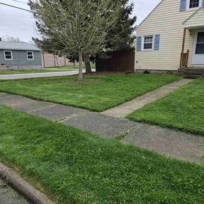 lawn care by A&amp;A lawn service reviewed on June 7, 2025