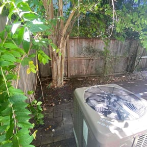 Leaf Removal by Puregrind Landscaping LLC reviewed on September 15, 2025