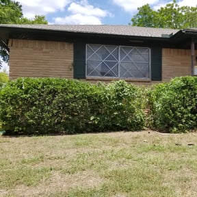 Bush Trimming by AW landscaping reviewed on August 15, 2025