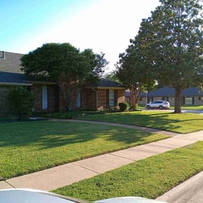 yard work by A-Z Land Care reviewed on August 19, 2025