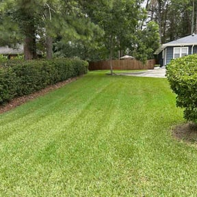 yard work by Zay's Lawn Service reviewed on August 15, 2025