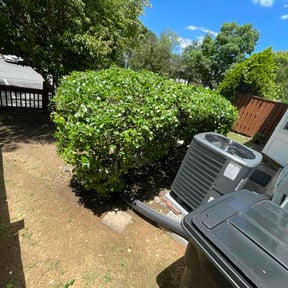 Bush Trimming by Grass Masters reviewed on July 1, 2026