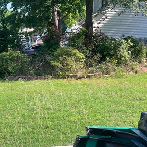 Flower Bed Weeding by Hillbillielawncarellc reviewed on June 18, 2026