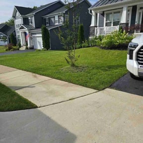 residential landscaping by PrecisionServices L.L.C reviewed on August 2, 2024