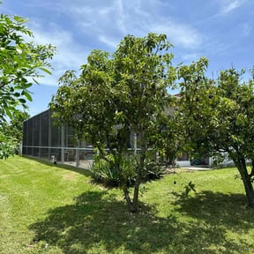 lawn care by Laureans landscaping LLC reviewed on November 8, 2023