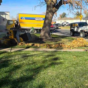 Leaf Removal by Leo's Lawn Care reviewed on October 18, 2025