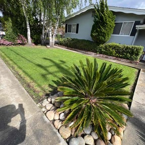 yard service by SM Lawn Care reviewed on August 19, 2025